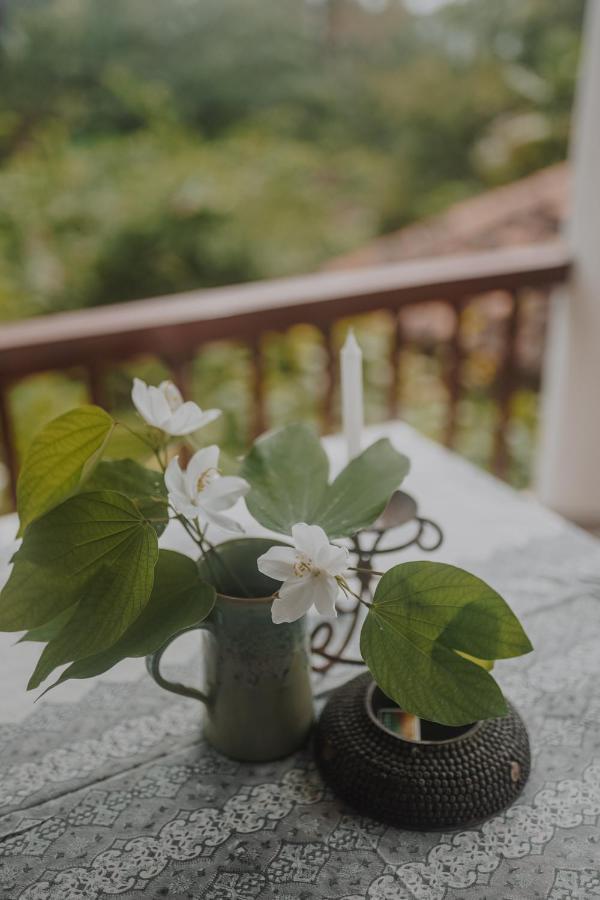 Villa Akasa Varkala Kültér fotó